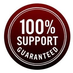 Vigor Boost Guarantee